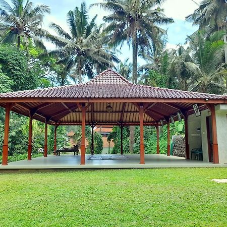 As I Am Ubud Retreat Exterior foto
