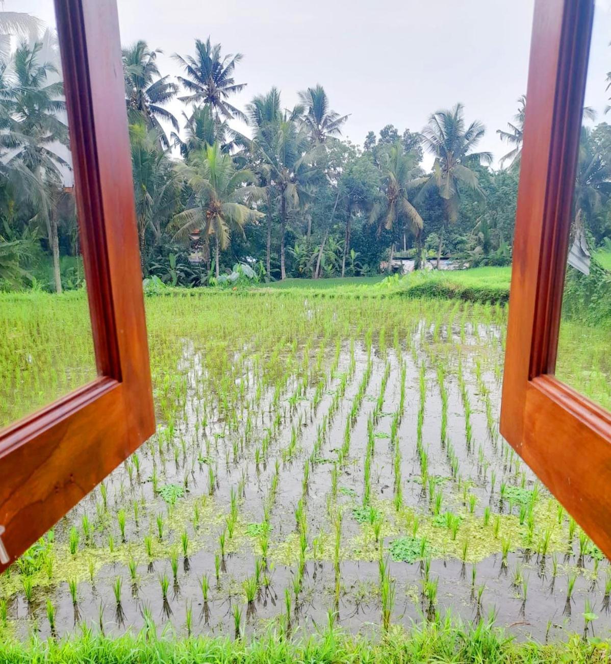 As I Am Ubud Retreat Habitación foto